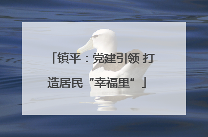 镇平：党建引领 打造居民“幸福里”