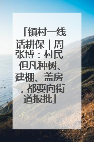 镇村一线话耕保｜周张博：村民但凡种树、建棚、盖房，都要向街道报批