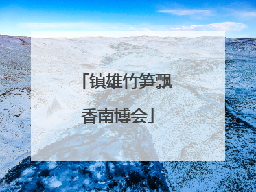 镇雄竹笋飘香南博会