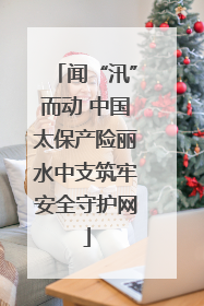 闻“汛”而动 中国太保产险丽水中支筑牢安全守护网