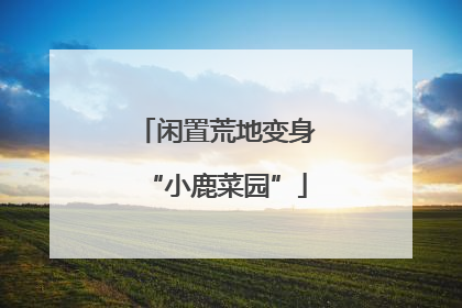 闲置荒地变身“小鹿菜园”