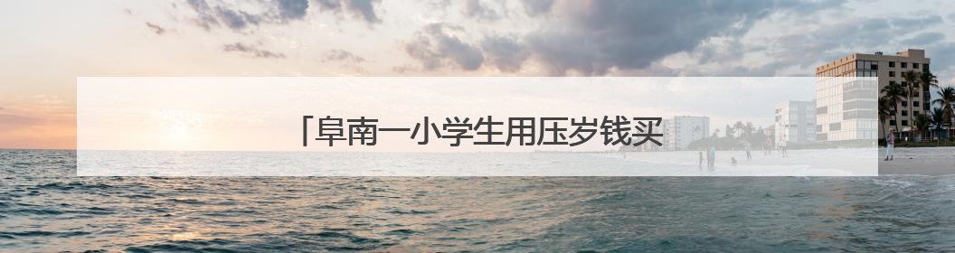 阜南一小学生用压岁钱买水为中高考学子送清凉
