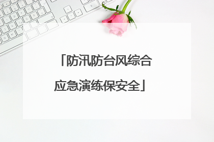 防汛防台风综合应急演练保安全