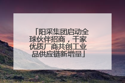 阳采集团启动全球伙伴招商，千家优质厂商共创工业品供应链新增量