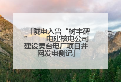 陇电入鲁“树丰碑”——电建核电公司建设灵台电厂项目并网发电侧记