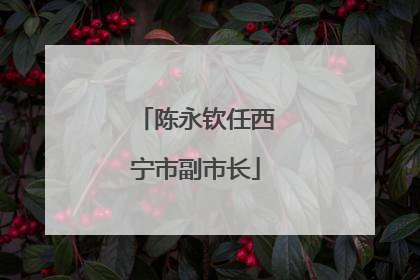 陈永钦任西宁市副市长