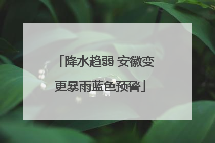 降水趋弱 安徽变更暴雨蓝色预警