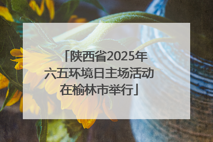 陕西省2025年六五环境日主场活动在榆林市举行