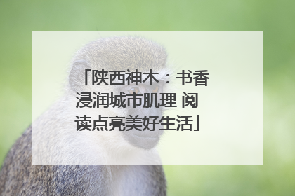 陕西神木：书香浸润城市肌理 阅读点亮美好生活