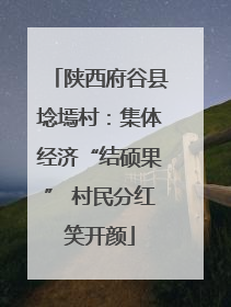 陕西府谷县埝墕村：集体经济“结硕果” 村民分红笑开颜