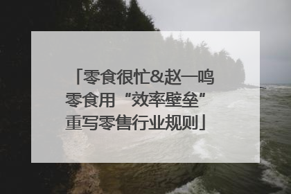 零食很忙&赵一鸣零食用“效率壁垒”重写零售行业规则