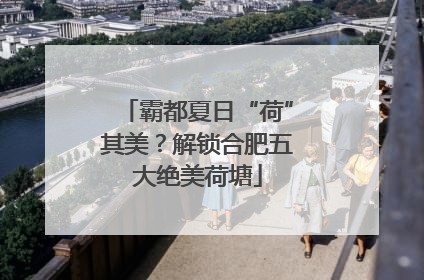 霸都夏日“荷”其美？解锁合肥五大绝美荷塘