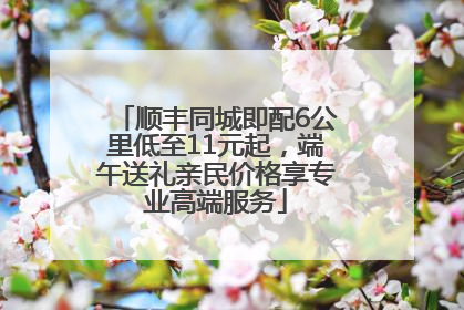 顺丰同城即配6公里低至11元起，端午送礼亲民价格享专业高端服务