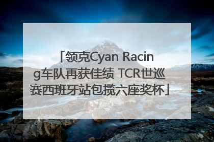 领克Cyan Racing车队再获佳绩 TCR世巡赛西班牙站包揽六座奖杯
