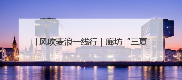 风吹麦浪一线行｜廊坊“三夏”大规模小麦机收全面开始