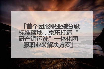 首个团服职业装分级标准落地，京东打造“研产销运洗”一体化团服职业装解决方案