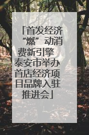 首发经济“燃”动消费新引擎 泰安市举办首店经济项目品牌入驻推进会