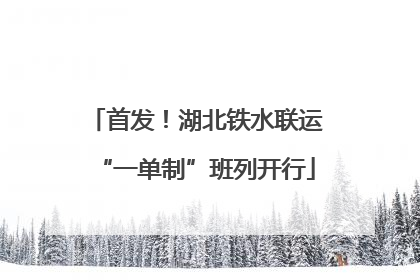 首发！湖北铁水联运“一单制”班列开行