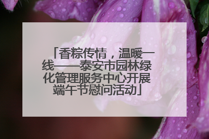 香粽传情，温暖一线——泰安市园林绿化管理服务中心开展端午节慰问活动