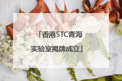 香港STC青海实验室揭牌成立