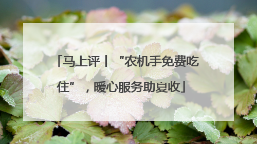 马上评丨“农机手免费吃住”，暖心服务助夏收
