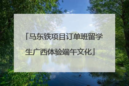 马东铁项目订单班留学生广西体验端午文化