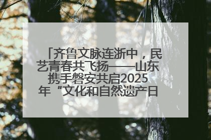 齐鲁文脉连浙中，民艺青春共飞扬——山东携手磐安共启2025年“文化和自然遗产日”系列活动