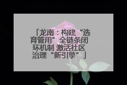龙南：构建“选育管用”全链条闭环机制 激活社区治理“新引擎”