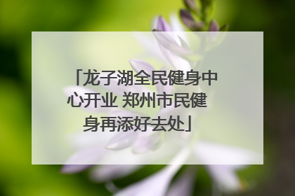 龙子湖全民健身中心开业 郑州市民健身再添好去处