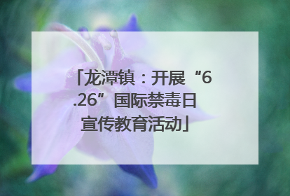 龙潭镇：开展“6.26”国际禁毒日宣传教育活动