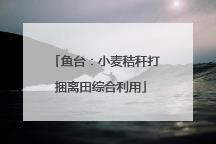 鱼台：小麦秸秆打捆离田综合利用
