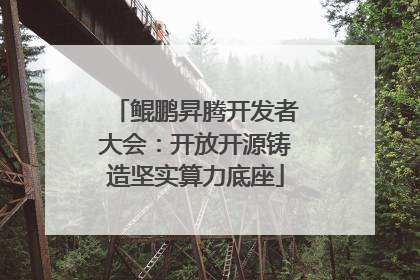 鲲鹏昇腾开发者大会：开放开源铸造坚实算力底座