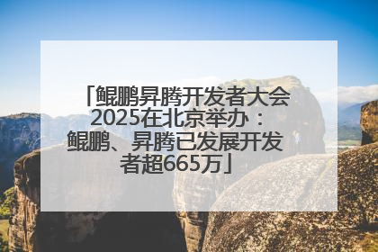 鲲鹏昇腾开发者大会2025在北京举办：鲲鹏、昇腾已发展开发者超665万