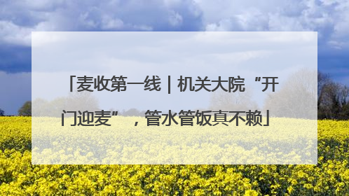 麦收第一线｜机关大院“开门迎麦”，管水管饭真不赖