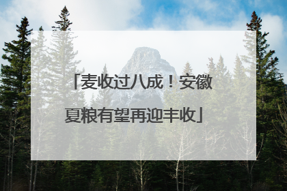 麦收过八成！安徽夏粮有望再迎丰收