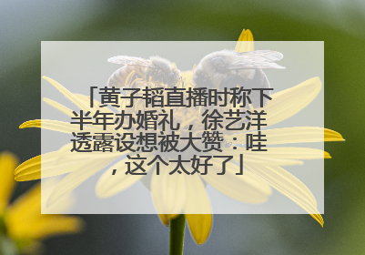 黄子韬直播时称下半年办婚礼，徐艺洋透露设想被大赞：哇，这个太好了