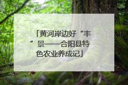 黄河岸边好“丰”景——合阳县特色农业养成记