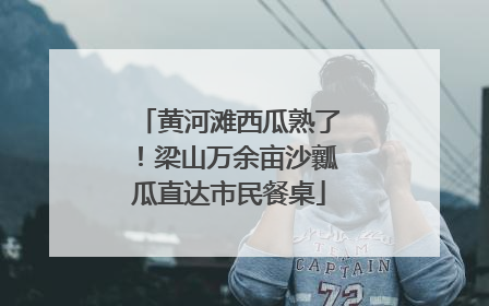 黄河滩西瓜熟了！梁山万余亩沙瓤瓜直达市民餐桌