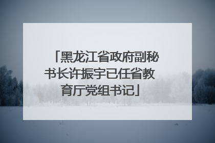 黑龙江省政府副秘书长许振宇已任省教育厅党组书记