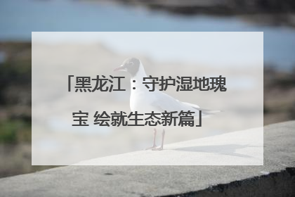 黑龙江：守护湿地瑰宝 绘就生态新篇