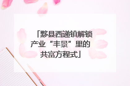 黟县西递镇解锁产业“丰景”里的共富方程式