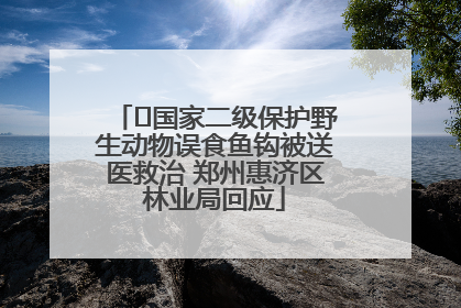 ﻿国家二级保护野生动物误食鱼钩被送医救治 郑州惠济区林业局回应