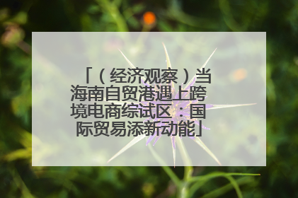 （经济观察）当海南自贸港遇上跨境电商综试区：国际贸易添新动能