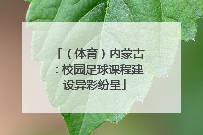 （体育）内蒙古：校园足球课程建设异彩纷呈