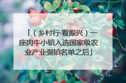 （乡村行·看振兴）一座肉牛小镇入选国家级农业产业强镇名单之后