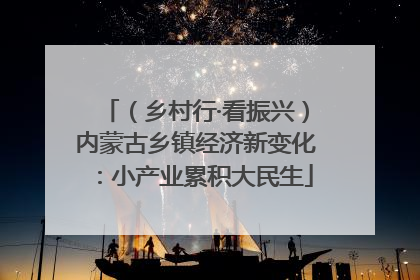 （乡村行·看振兴）内蒙古乡镇经济新变化：小产业累积大民生