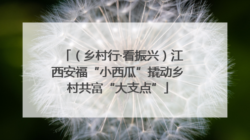 （乡村行·看振兴）江西安福“小西瓜”撬动乡村共富“大支点”