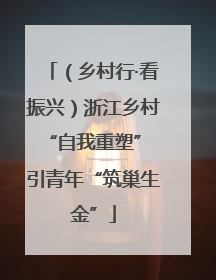 （乡村行·看振兴）浙江乡村“自我重塑” 引青年“筑巢生金”