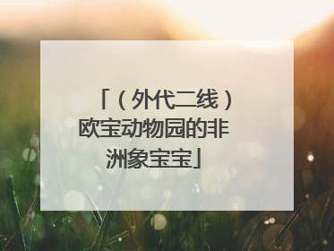 （外代二线）欧宝动物园的非洲象宝宝