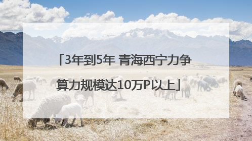 3年到5年 青海西宁力争算力规模达10万P以上